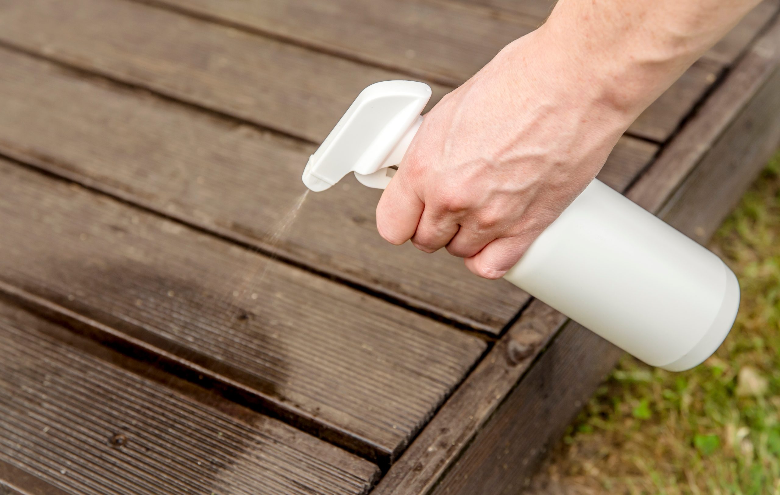 , Keeping your patio pest-free