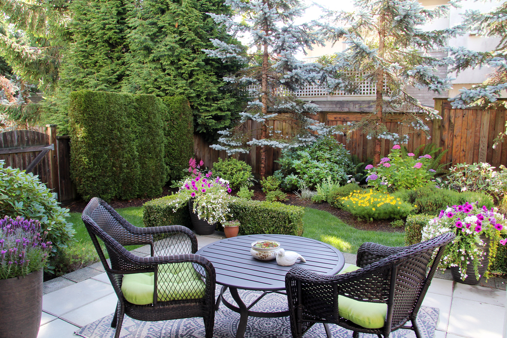 , How to create some privacy in your outdoor space